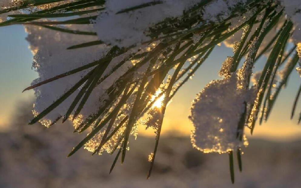 Плюсовую температуру прогнозируют синоптики в ЗКО 30 января